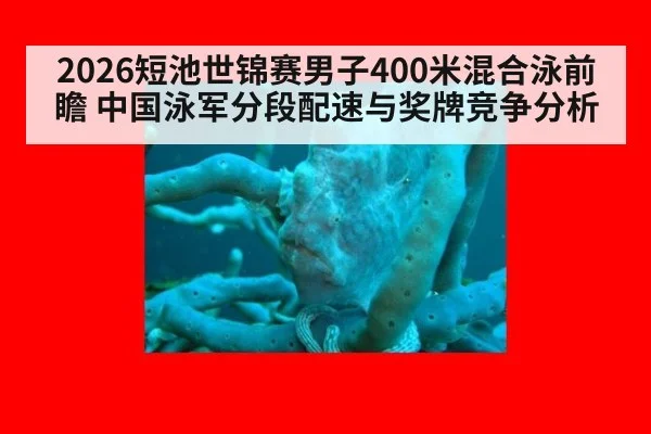 2026短池世锦赛男子400米混合泳前瞻 中国泳军分段配速与奖牌竞争分析